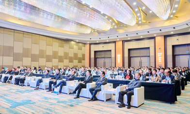 聚焦区域，精准赋能丨长江片区中国橡胶工业协会参会成果报告