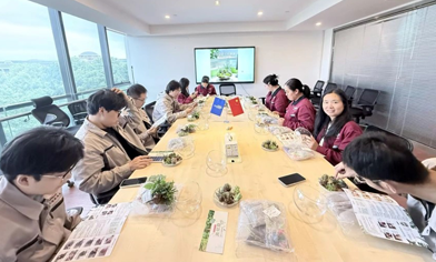 方寸绿意，工位焕新 | 桌面微景观，把春天种进办公室——浙江片区员工活动